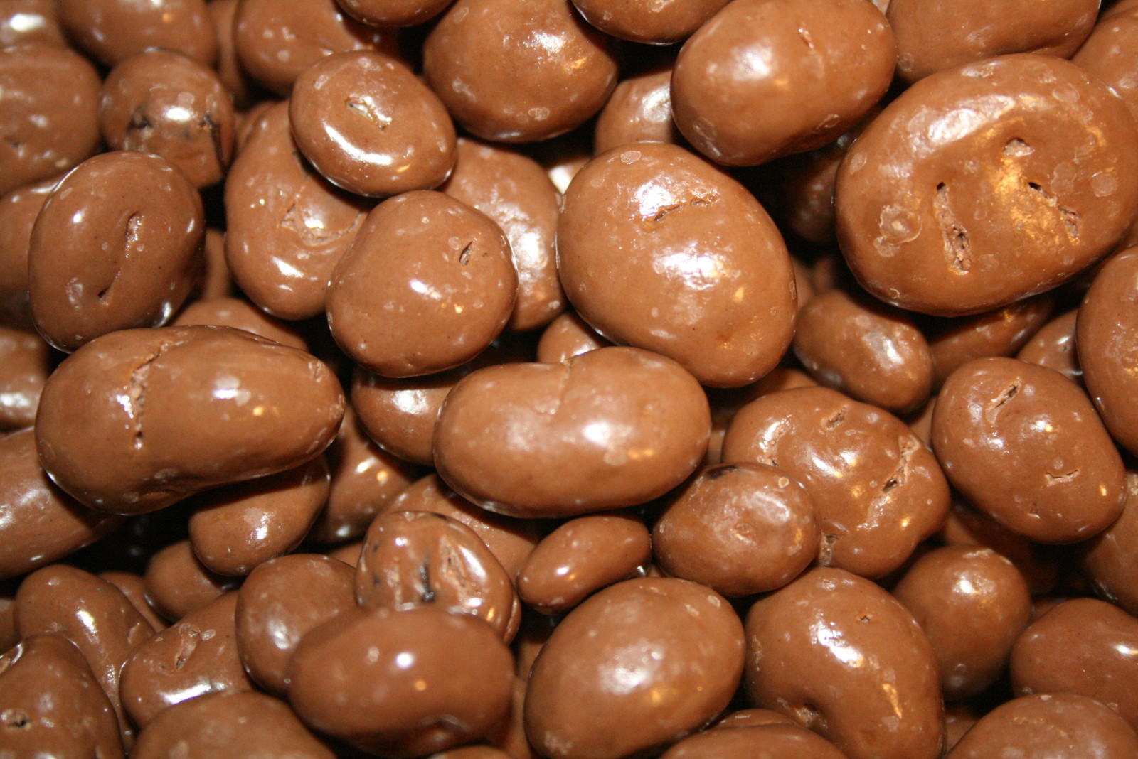 MILK CHOCOLATE COVERED RAISINS, 2LB – FREE SHIPPING