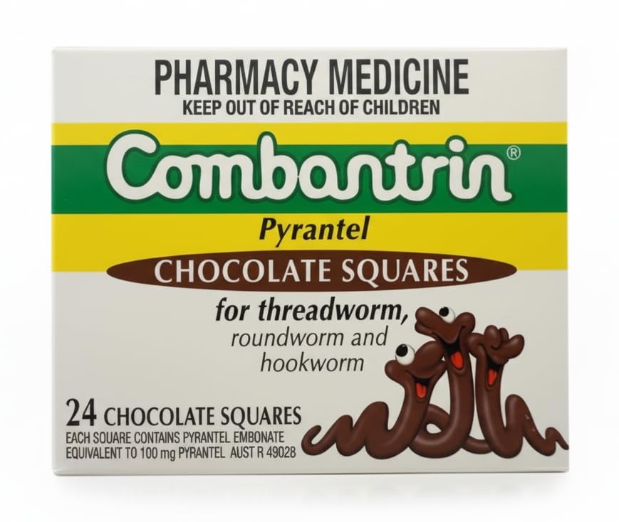 Chocolate Squares 24 Pack Made in Australia