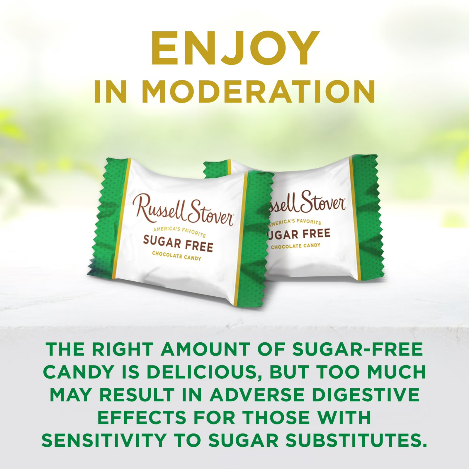 Russell Stover Sugar Free Pecan Delight Chocolate Candy 10 oz Bag Free Ship