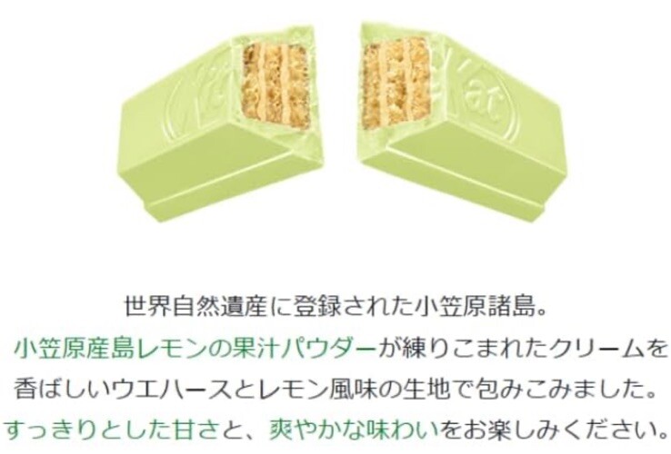 Rare!Japanese Kit Kat Tokyo Island lemon KitKat Chocolate 10bars Japanese snacks