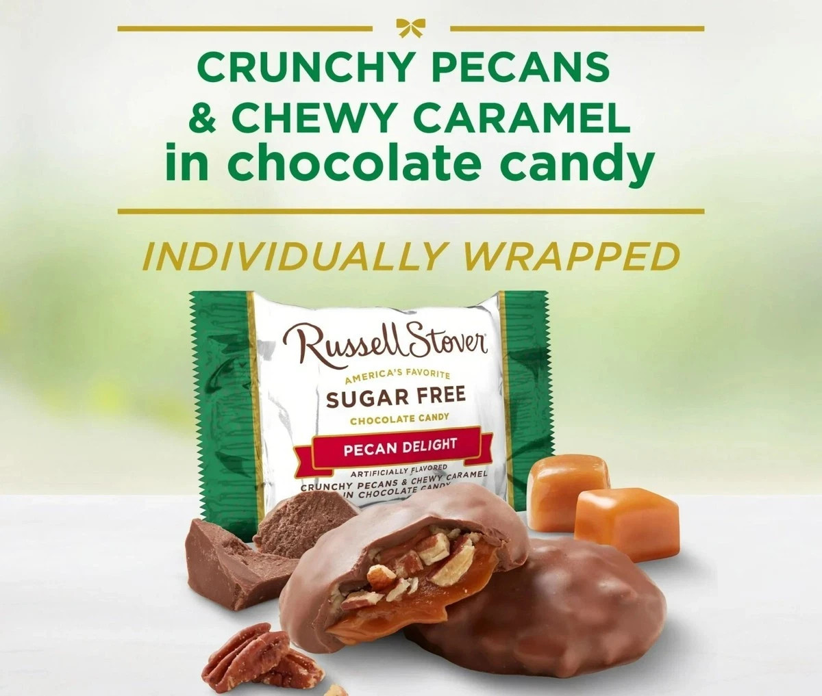 Russell Stover Sugar-Free, 4 Flavor Mix, Bulk Chocolate Candy Bars (1 Pound)