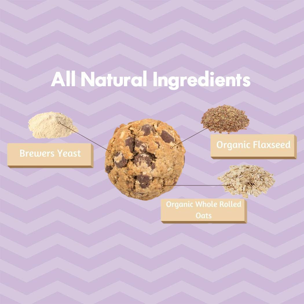 Dark Chocolate Chip Oatmeal Lactation Cookies with Brewers Yeast for Breastfe…