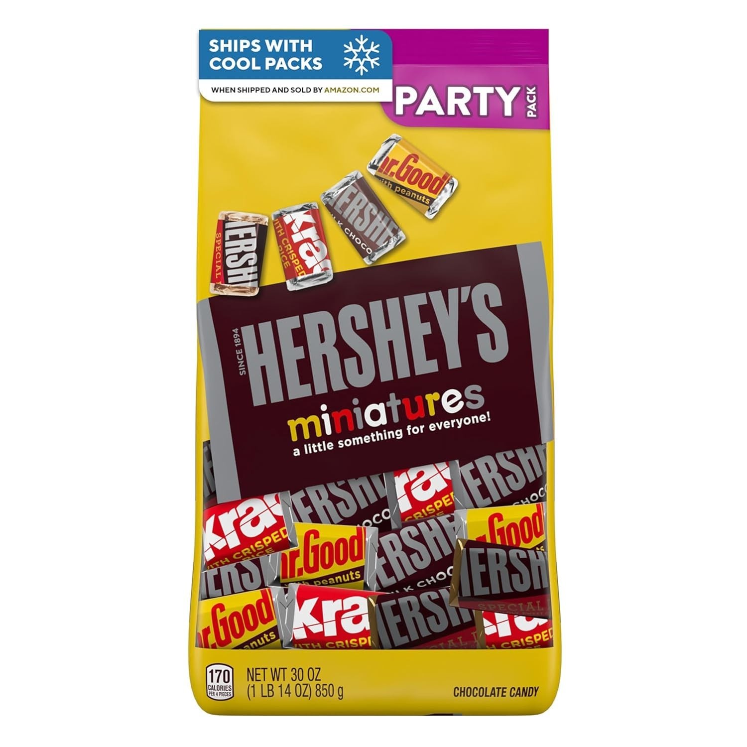 Miniatures Assorted Chocolate Candy Bulk Variety Party Pack, 30 oz
