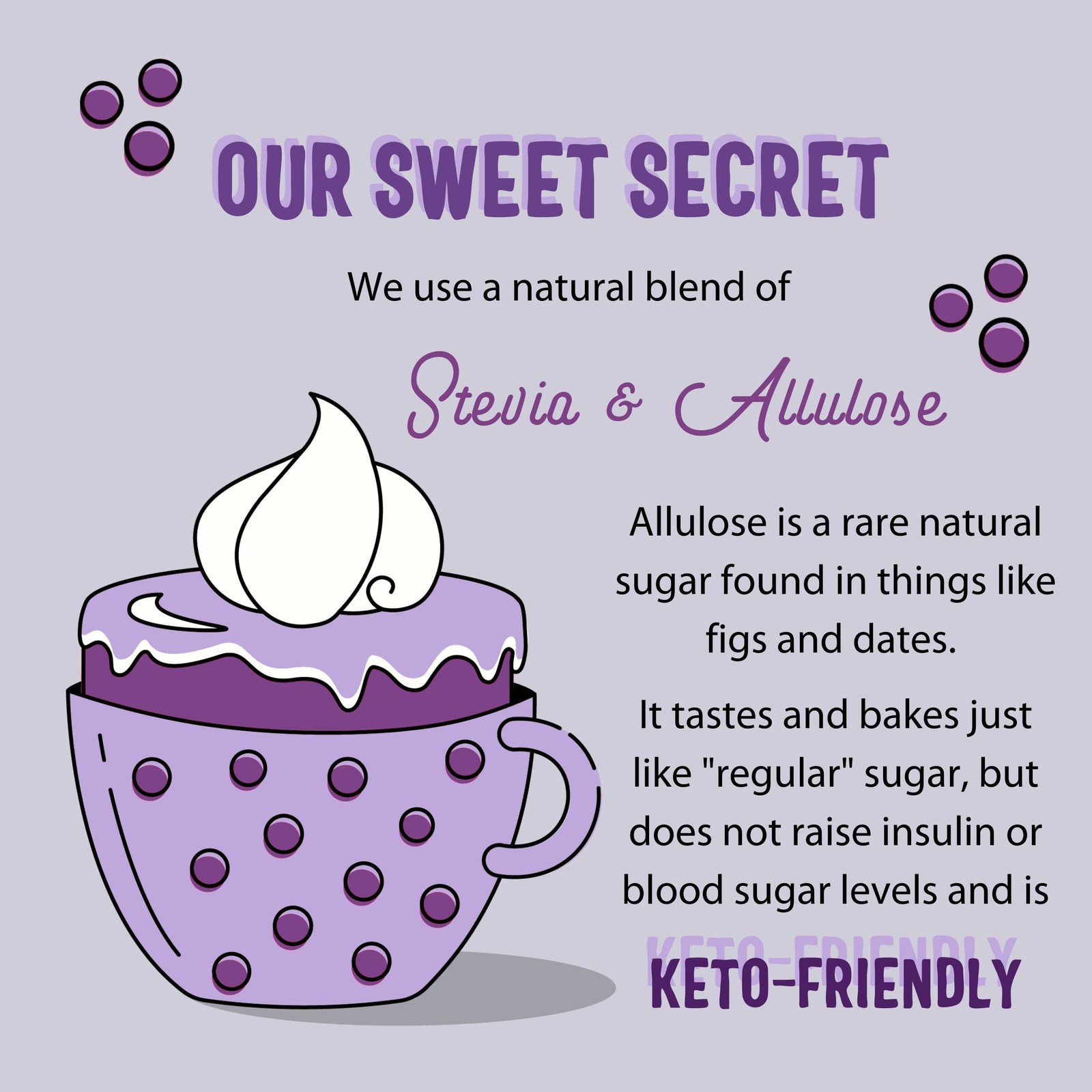 Keto Baking Mix – Blueberry Muffin – Gluten-Free – Dairy Free – Diabetic-Frie…