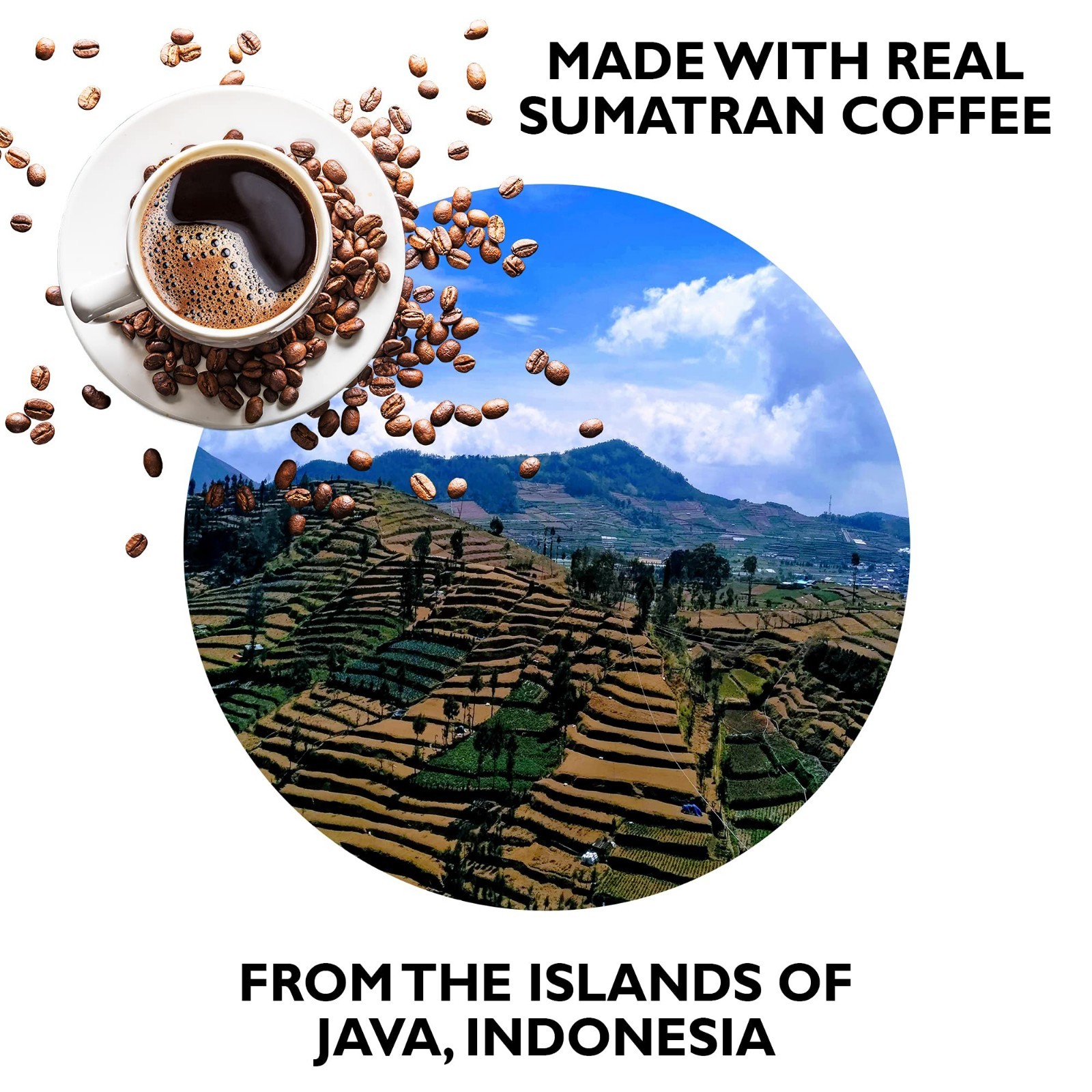 Coffee Candy Assortment – 285 Pieces, 2.2 Lb Jar, Espresso & Café Latte, Halal T