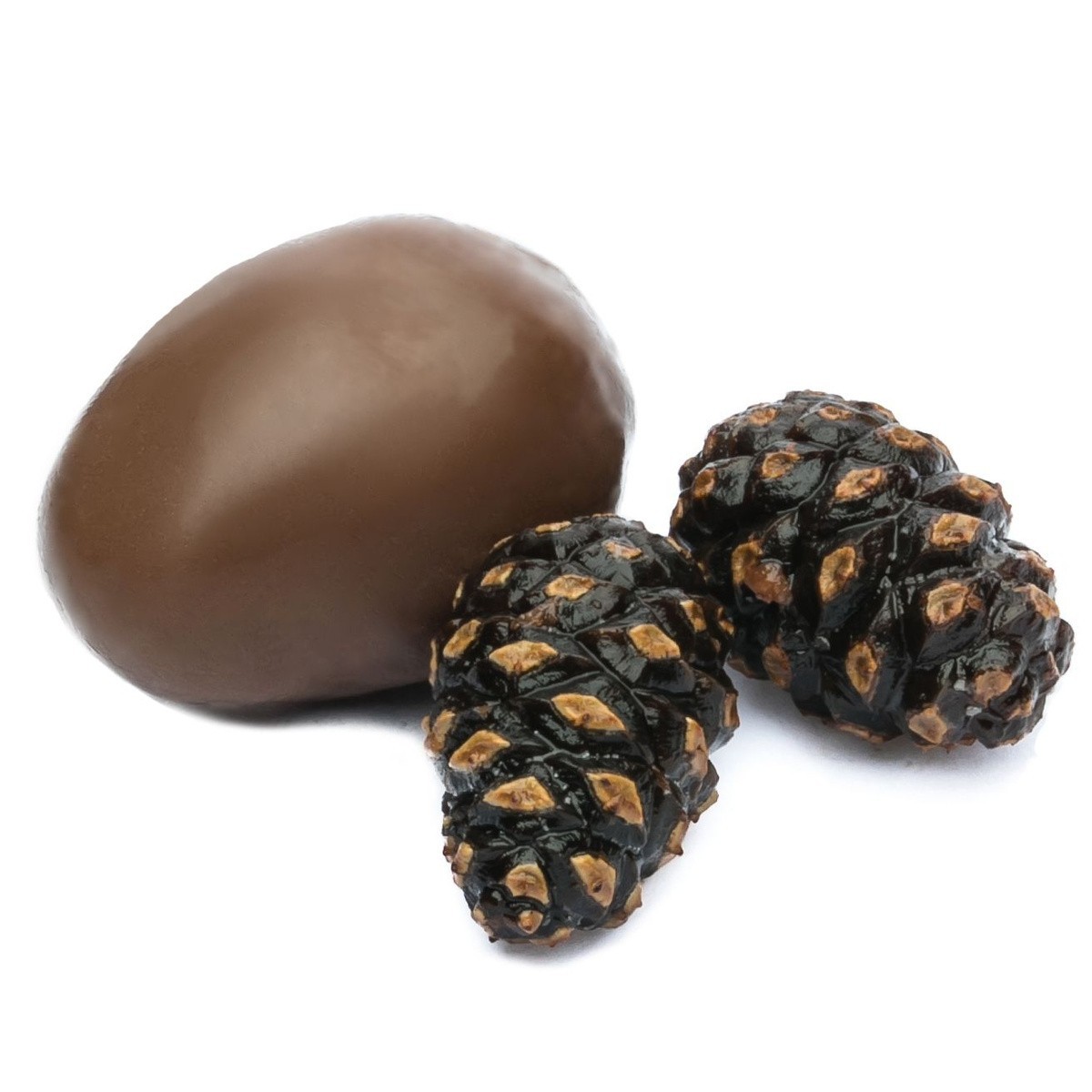 Young Candied Taiga Pine Cones in Dark Chocolate Soft Edible 100g/ 3.53oz