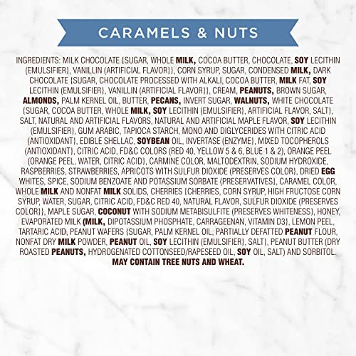 Russell Stover Caramels and Nuts Gift Box Assorted Chocolates 9.4oz