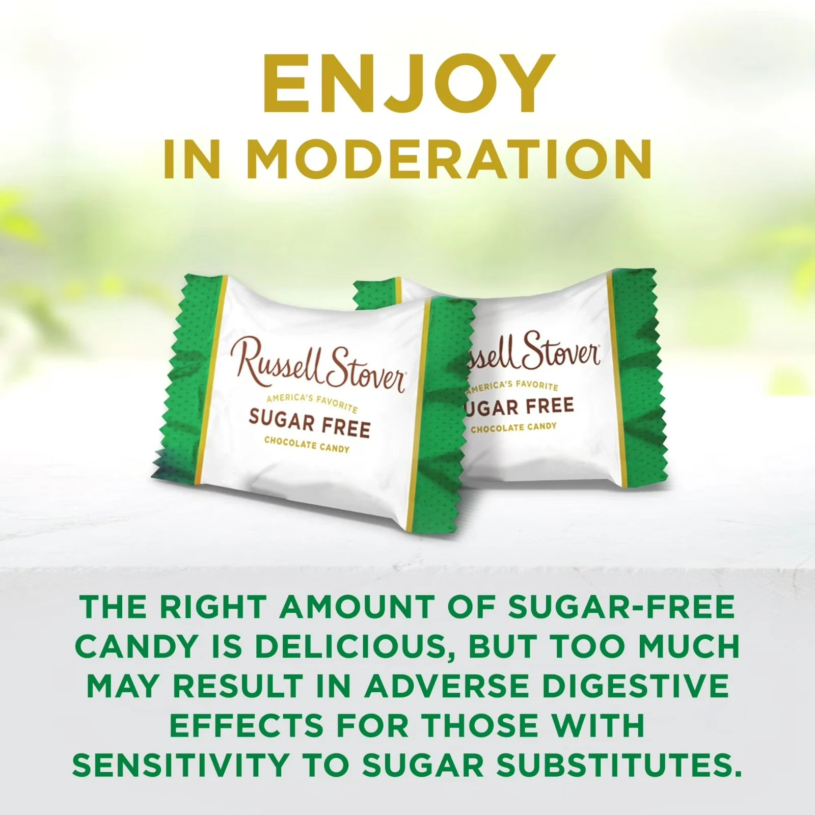 Russell Stover Sugar-Free, 4 Flavor Mix, Bulk Chocolate Candy Bars (1 Pound)