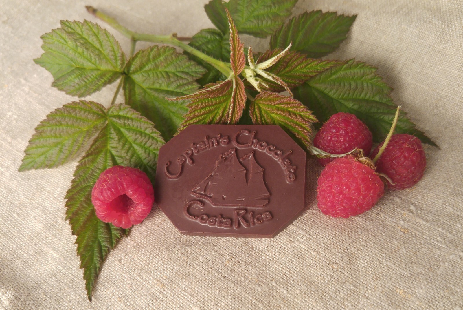 Captain’s Chocolate Gift Box Dark Chocolate 60% Cacao, All Organic, Pure, MFG US