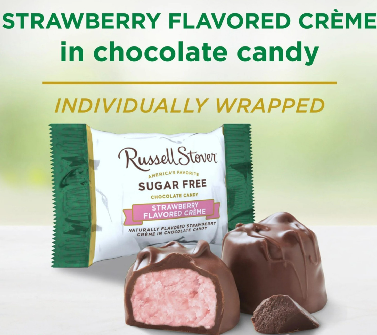 Russell Stover *Sugar Free* STRAWBERRY CREME’ in Chocolate Candy- BULK- 2 POUNDS