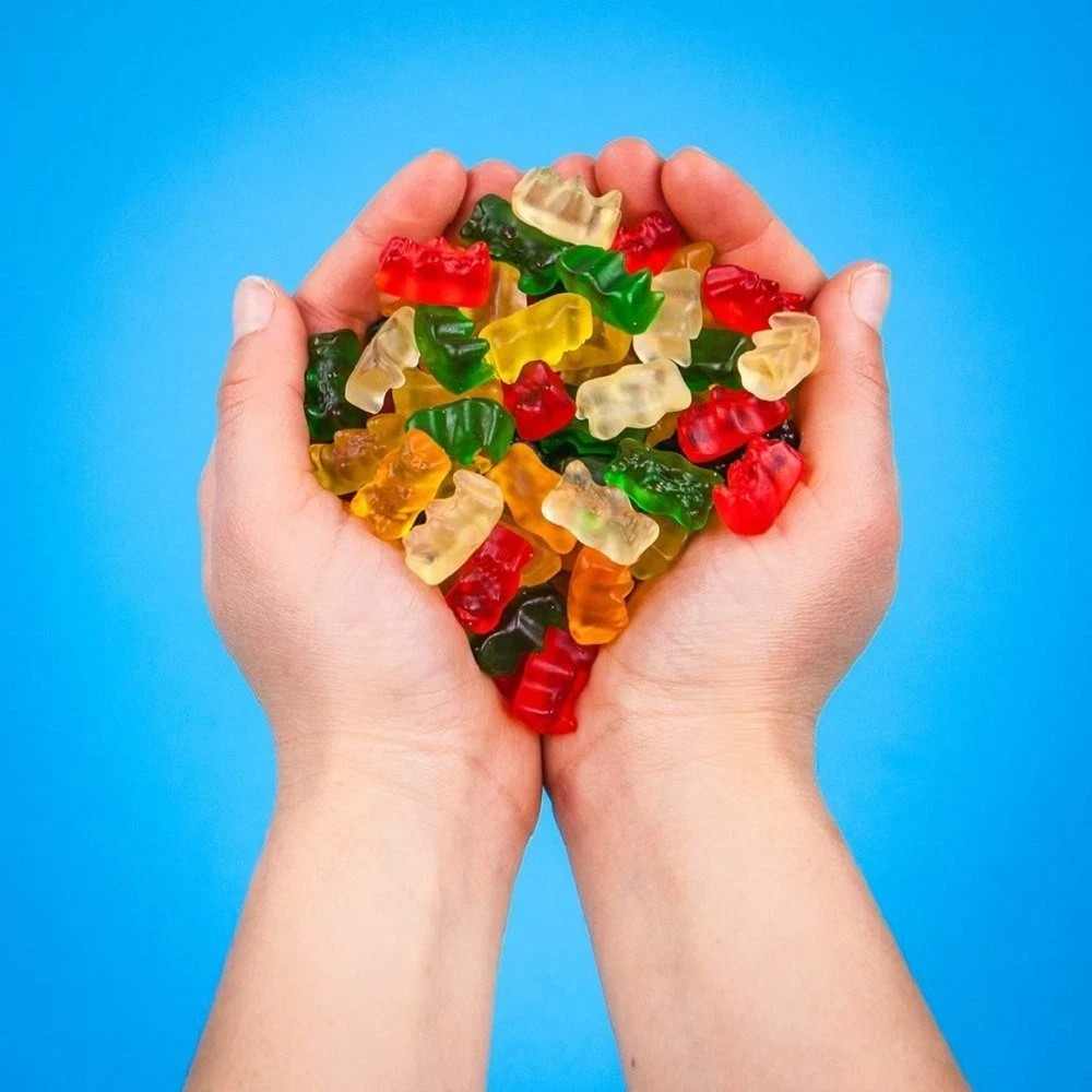 Haribo Goldbears Gummi Candy, Fruit Flavors, Treat Mini 9.5 oz Bags (Pack of 5)