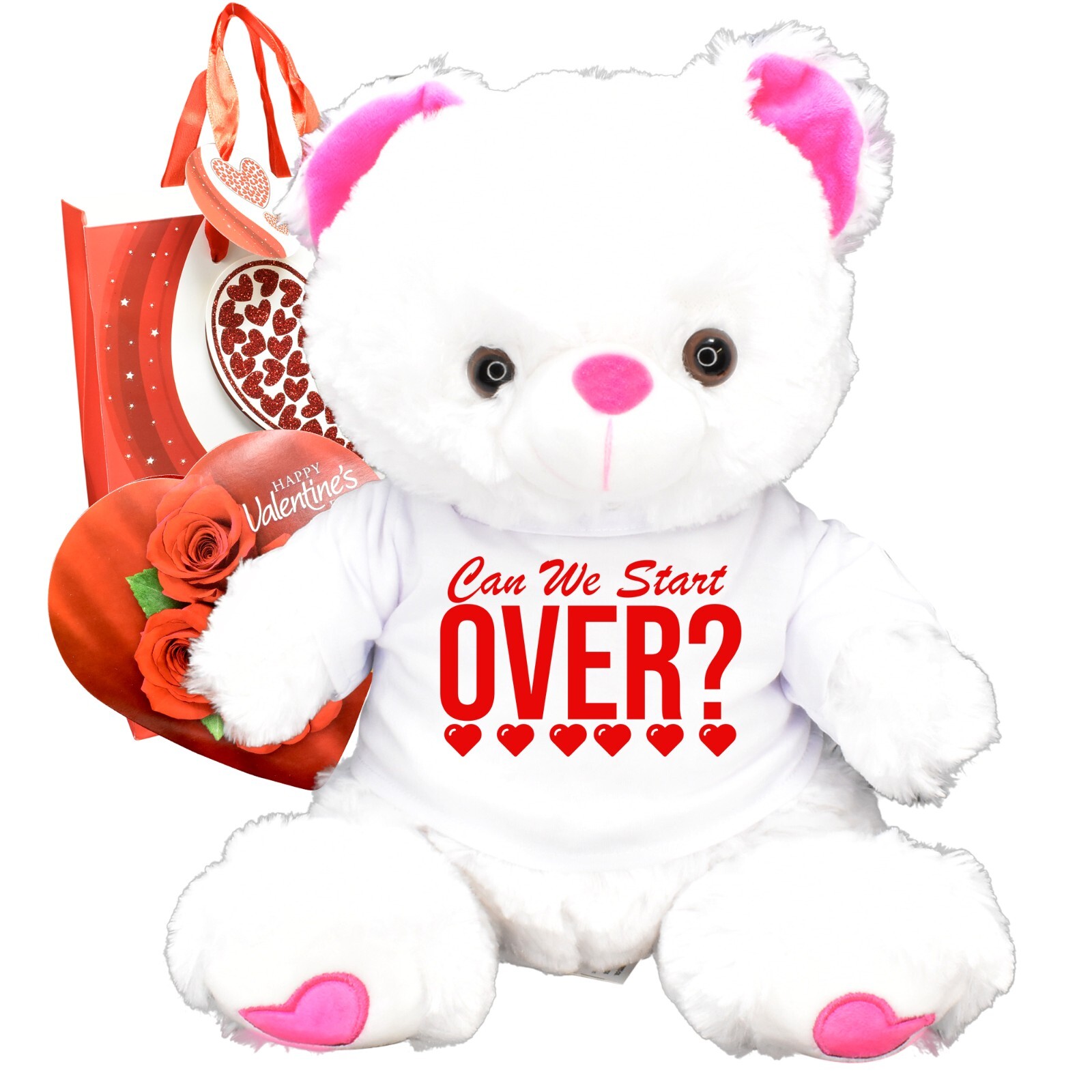 Unique Apology Gift For Valentines Day Funny I’m Sorry Card Gift Teddy Bear