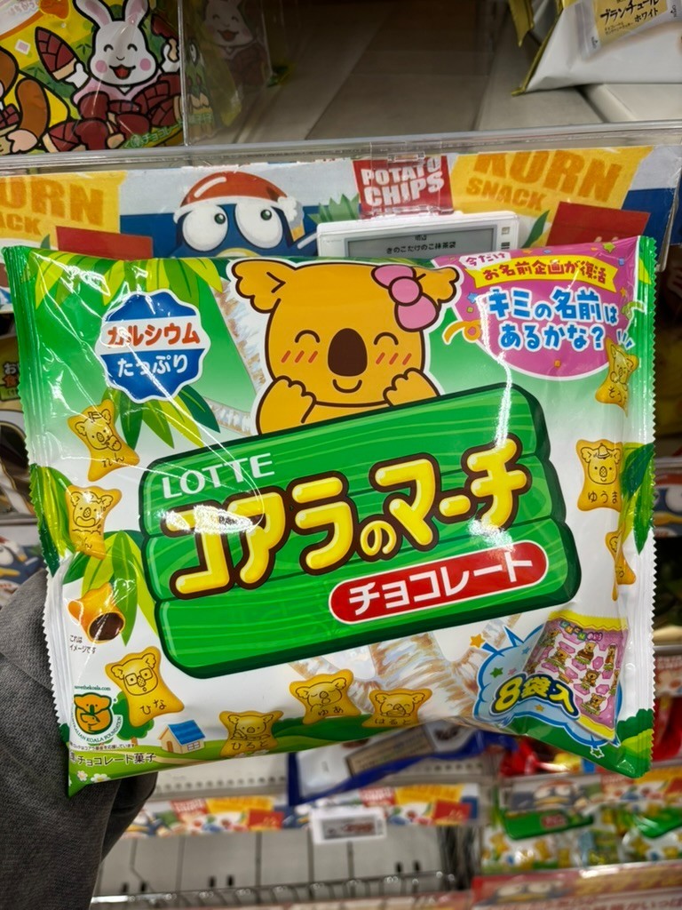 Lotte Koala’s March Chocolate Cookies 8 Packs Japanese Snack from Japan