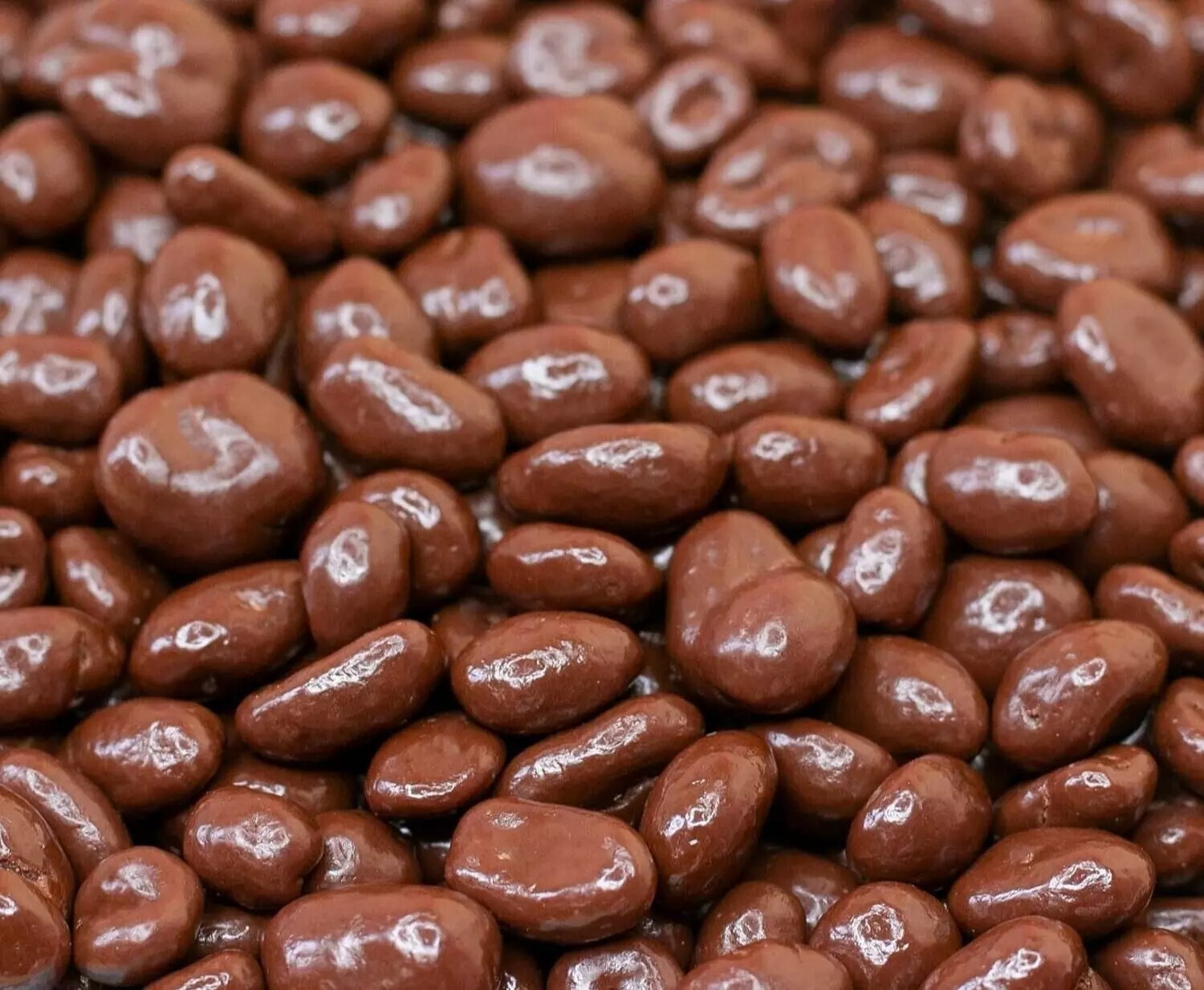 Gourmet Milk Chocolate Covered Dry-Roasted Peanuts – BULK CANDY- TWO POUNDS